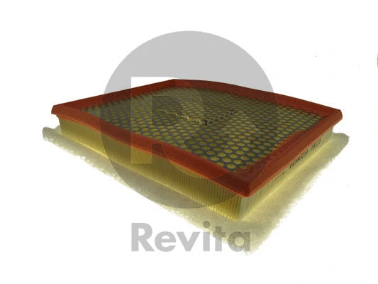 Air Filter (FRA00644)