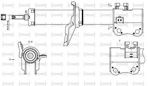 Shock Absorber (SG11721)