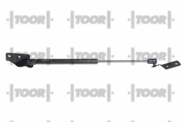 Gas Spring, boot/cargo area (SX41294)