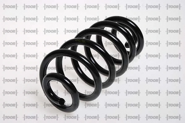 Suspension Spring (SC61961)
