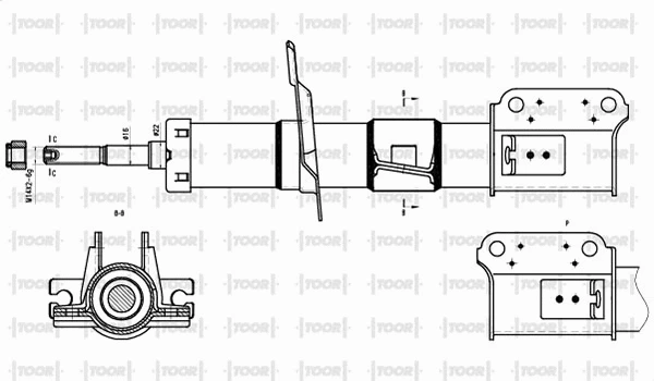 Shock Absorber (SO17010)