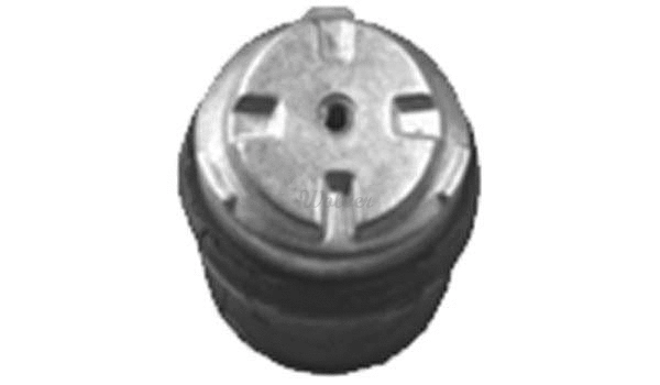 Mounting, engine (SM80438)