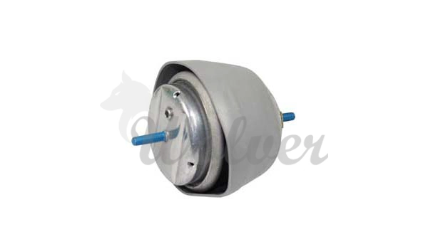 Mounting, engine (SM80156)