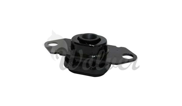 Mounting, engine (SM80666)