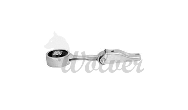 Mounting, engine (SM80414)