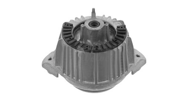 Mounting, engine (SM80411)