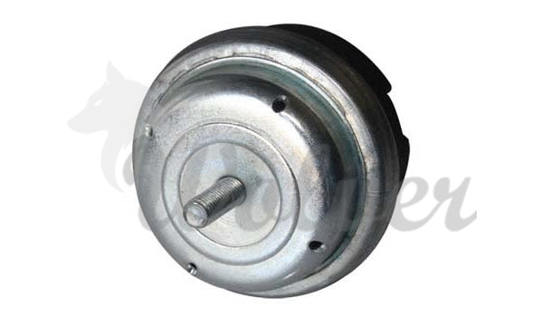 Mounting, engine (SM80141)