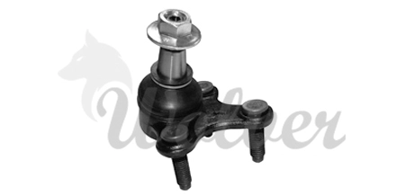 Tie Rod End (SP125981)