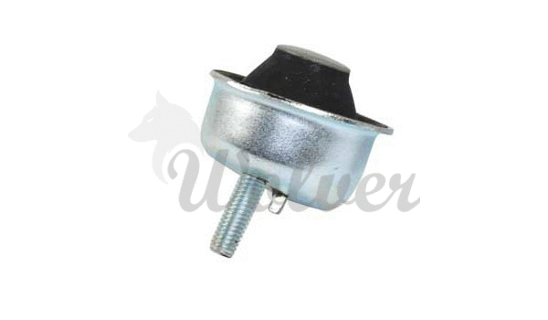 Mounting, engine (SM80621)