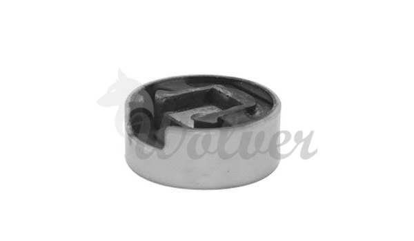 Mounting, engine (SM80105)