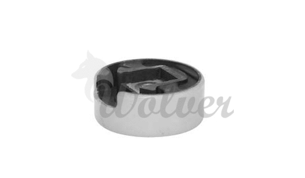 Mounting, engine (SM80072)