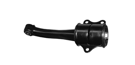 Mounting, engine (SM81029)