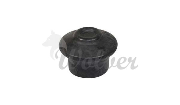 Mounting, engine (SM80444)