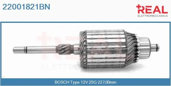 Armature, starter (22001821BN)