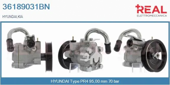 Hydraulic Pump, steering (36189031BN)