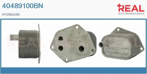 Oil Cooler, engine oil (40489100BN)