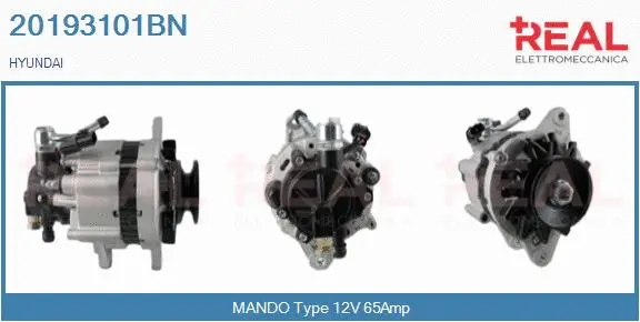 Alternator (20193101BN)