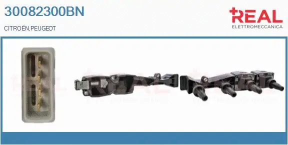 Ignition Coil (30082300BN)