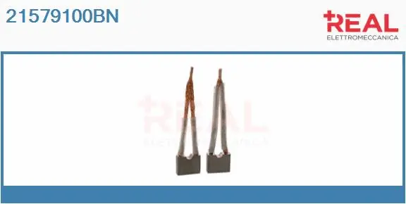 Carbon Brush, starter (21579100BN)