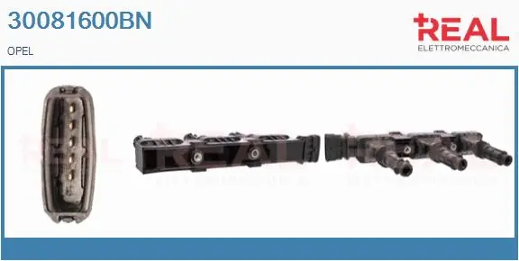 Ignition Coil (30081600BN)