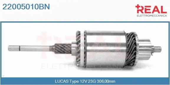 Armature, starter (22005010BN)