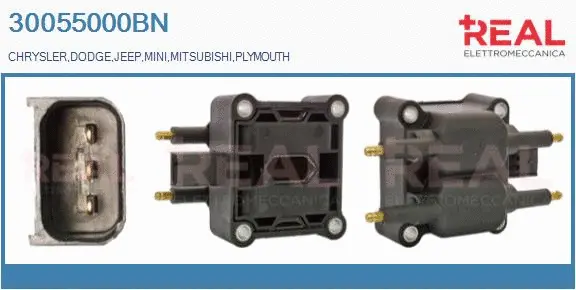 Ignition Coil (30055000BN)