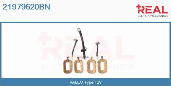 Field Winding, starter (21979620BN)