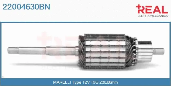Armature, starter (22004630BN)