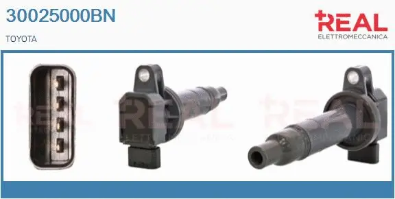 Ignition Coil (30025000BN)