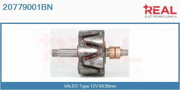 Rotor, alternator (20779001BN)