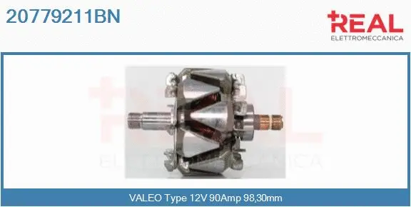 Rotor, alternator (20779211BN)