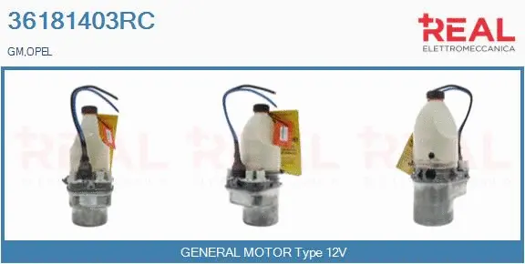 Hydraulic Pump, steering (36181403RC)