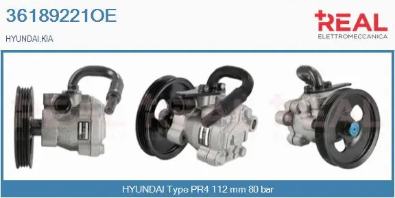 Hydraulic Pump, steering (36189221OE)