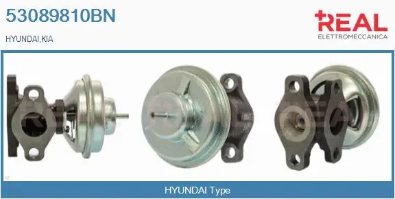 EGR Valve (53089810BN)