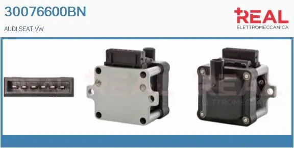 Ignition Coil (30076600BN)