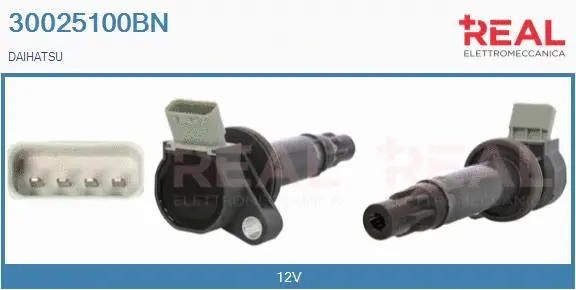Ignition Coil (30025100BN)