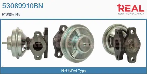 EGR Valve (53089910BN)