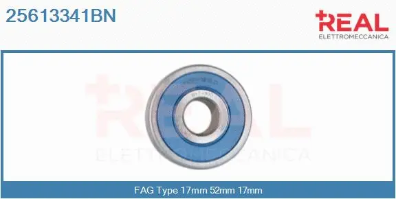 Bearing (25613341BN)