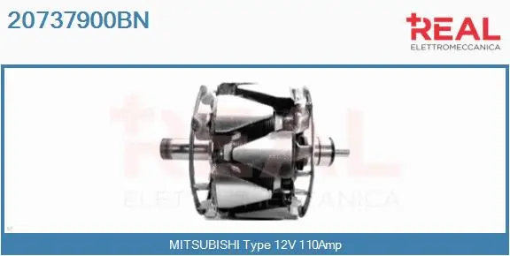 Rotor, alternator (20737900BN)