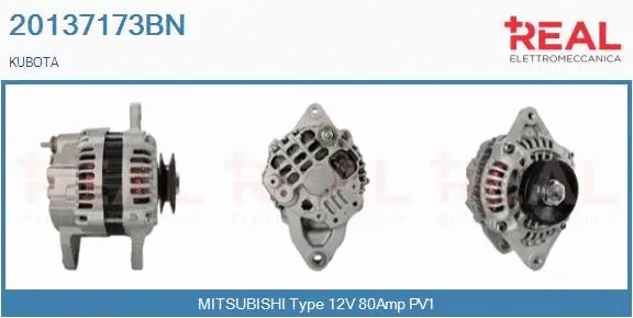 Alternator (20137173BN)