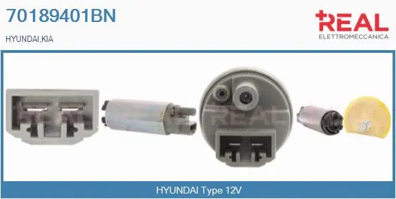 Fuel Pump (70189401BN)