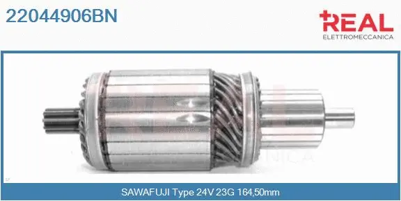 Armature, starter (22044906BN)