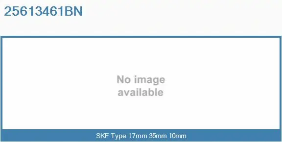 Bearing (25613461BN)