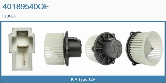 Interior Blower (40189540OE)