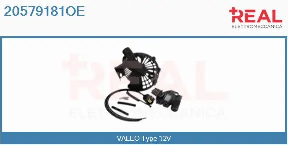 Alternator Regulator (20579181OE)
