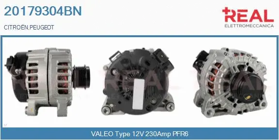 Alternator (20179304BN)