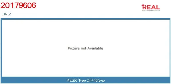 Alternator (20179606BN)