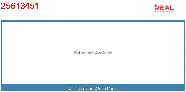 Bearing (25613451BN)