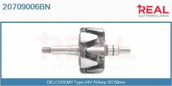 Rotor, alternator (20709006BN)