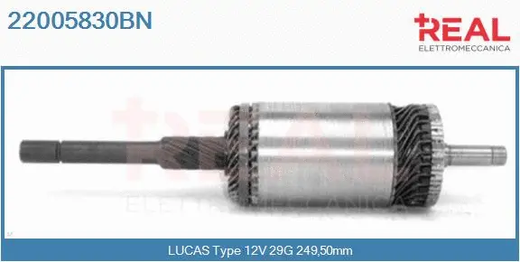 Armature, starter (22005830BN)